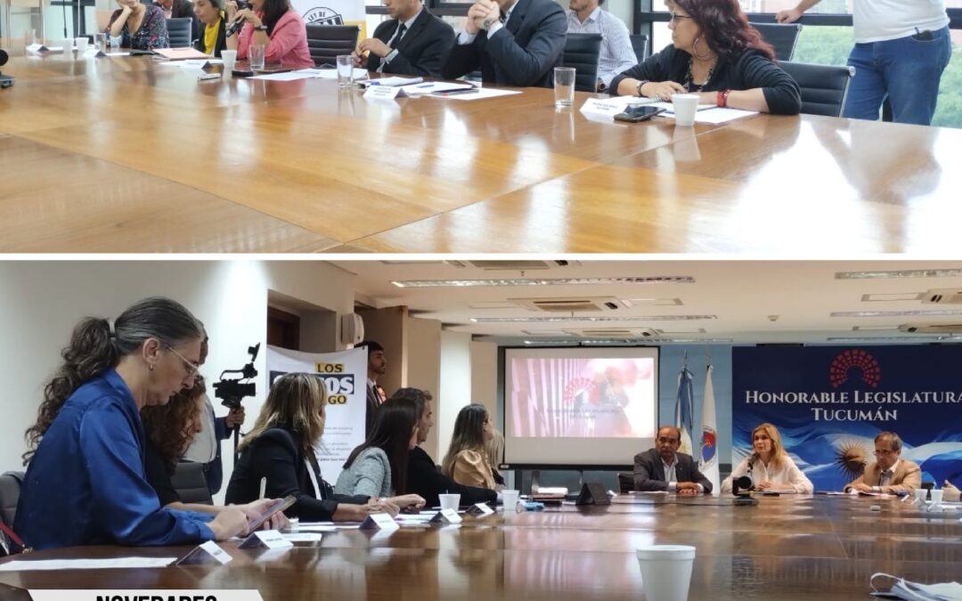 El CPT participó del Foro para el debate del Proyecto de Ley para la Declaración del Estado de Emergencia en derechos de Niños, Niñas y Adolescentes