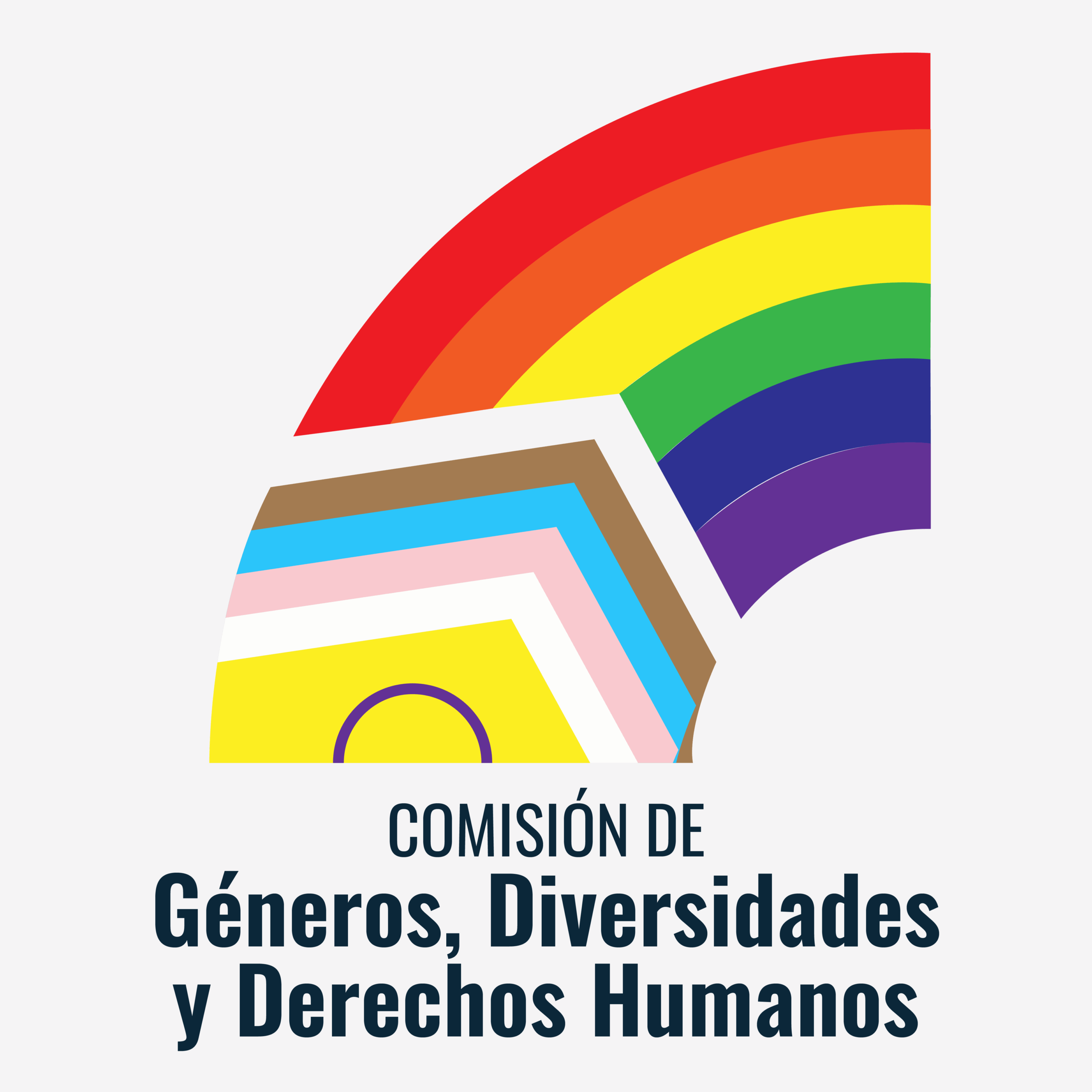 comisión de Géneros, Diversidades y DDHH  