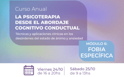 La psicoterapia desde el abordaje Cognitivo Conductual – Módulo 6