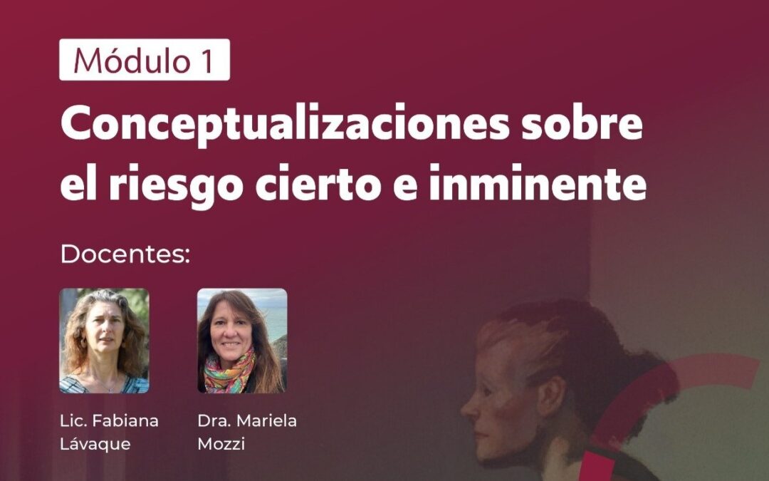 Conceptualizaciones Teorico-Clínicas para el abordaje de los casos graves