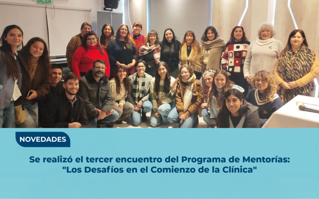 Programa De Mentorías
